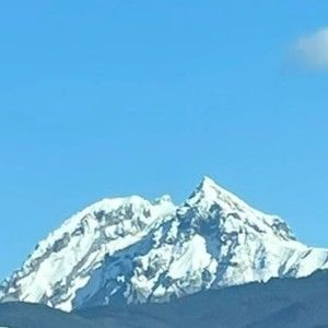 Meet your Posher, Kennis